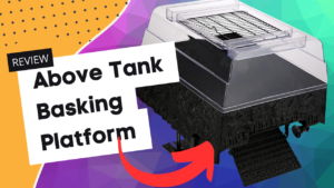 Read more about the article Penn Plax Turtle Basking Platform 3 Year Review