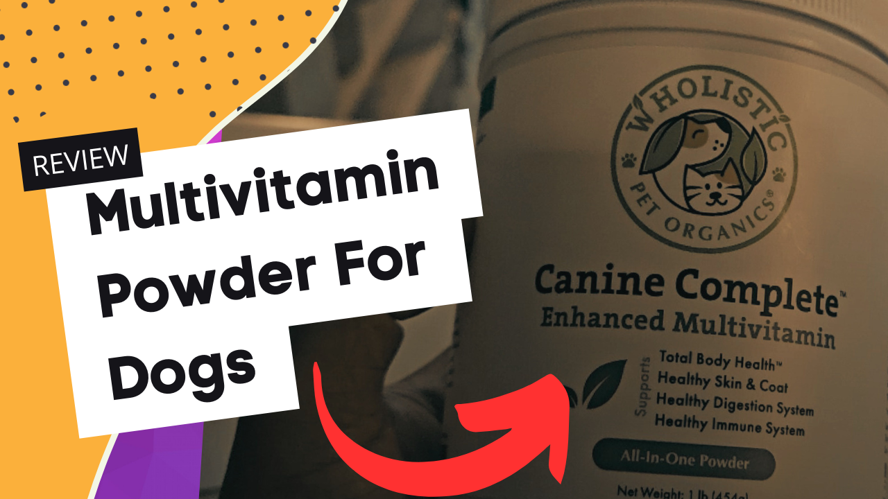 Read more about the article Wholistic Pet Organics Multivitamin For Dogs Review