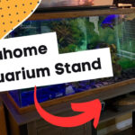 YITAHOME Aquarium Stand Review (July 2025): The Best Stand for a 60-Gallon Turtle Tank?