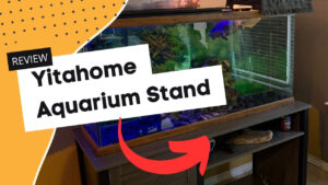 Read more about the article YITAHOME Aquarium Stand Review (July 2025): The Best Stand for a 60-Gallon Turtle Tank?