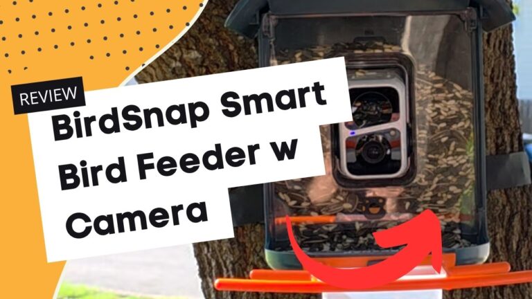 Birdsnap bird feeder camera review
