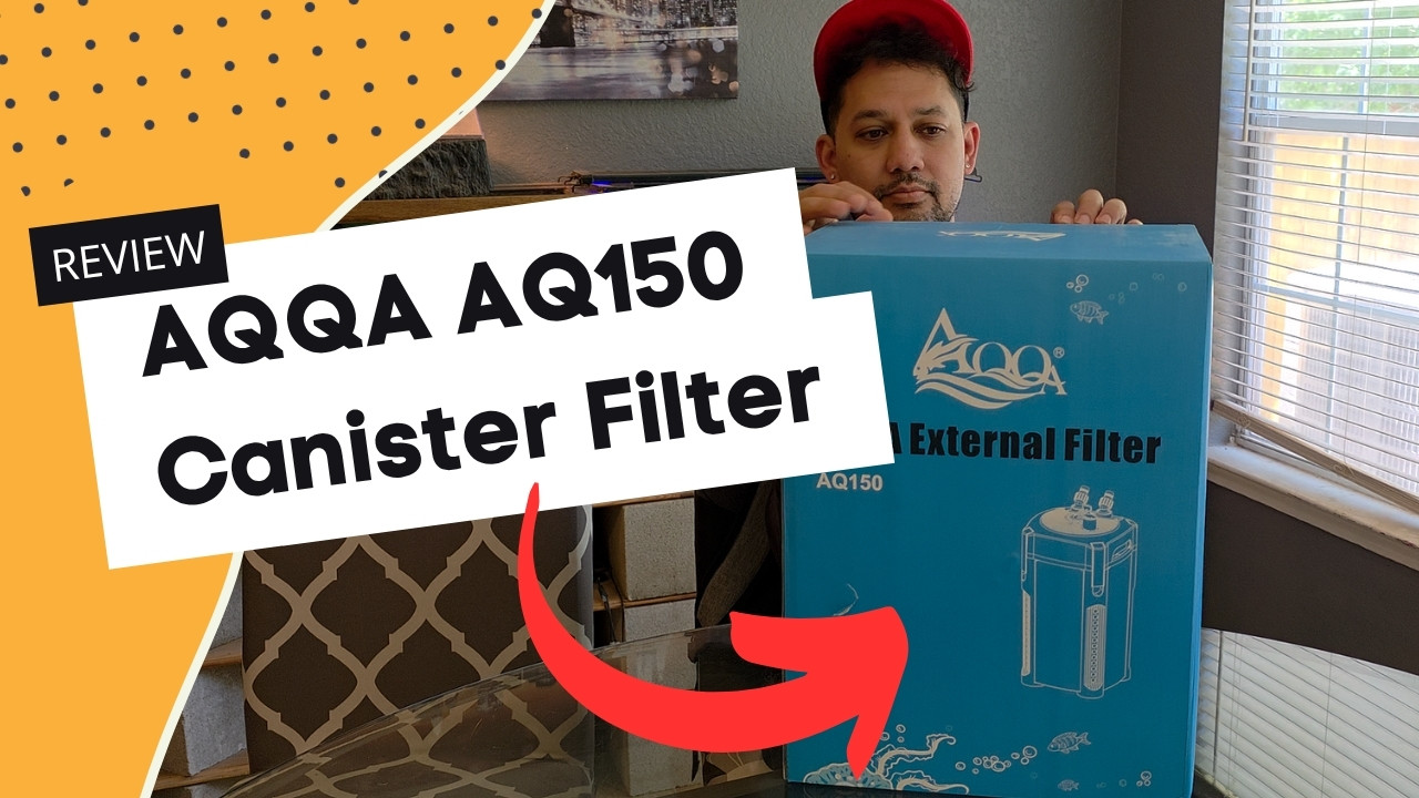You are currently viewing Aqqa Canister Filter Review (2025): The Best Bang-for-Your-Buck Filter?