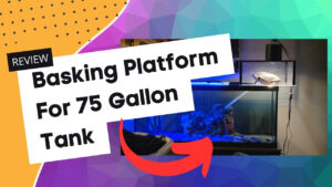 Read more about the article Leyouland Turtle Topper Basking Platform for Aquatic Turtles 75 Gallon Tank Review: Is It Worth It?